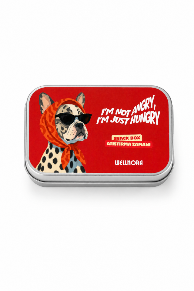 Wellnora Snack Box 1 | Kuru Meyve ve Çiğ Kuruyemişli Atıştırmalık Kutusu