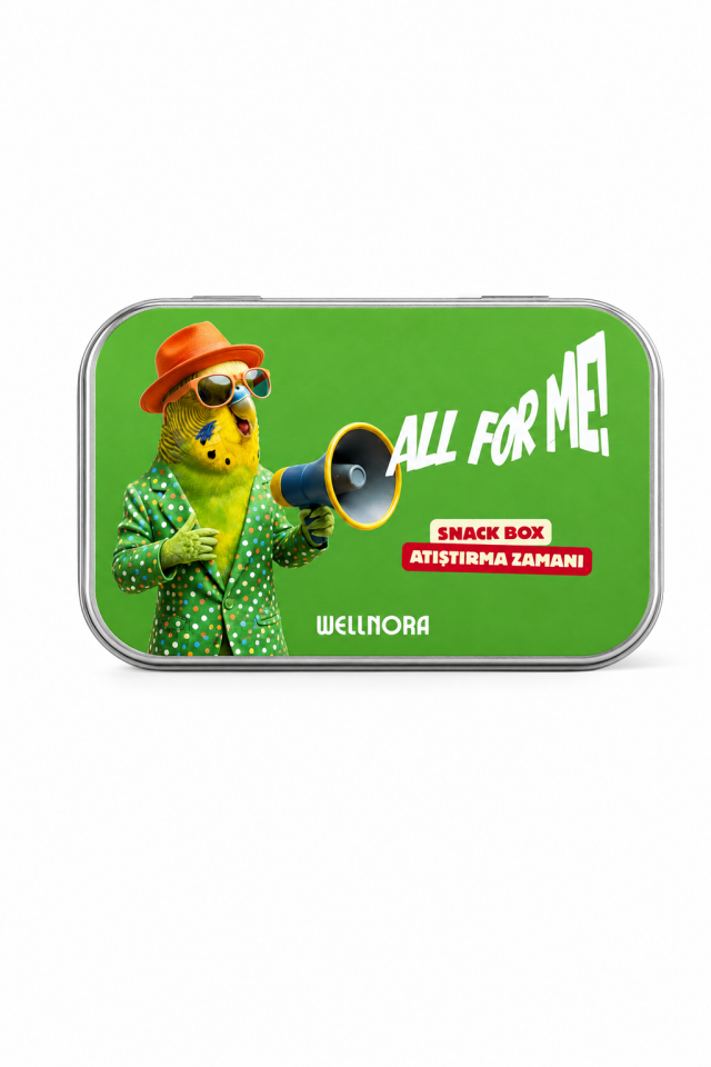 Wellnora Snack Box 4 | Kuru Meyve ve Çiğ Kuruyemişli Atıştırmalık Kutusu